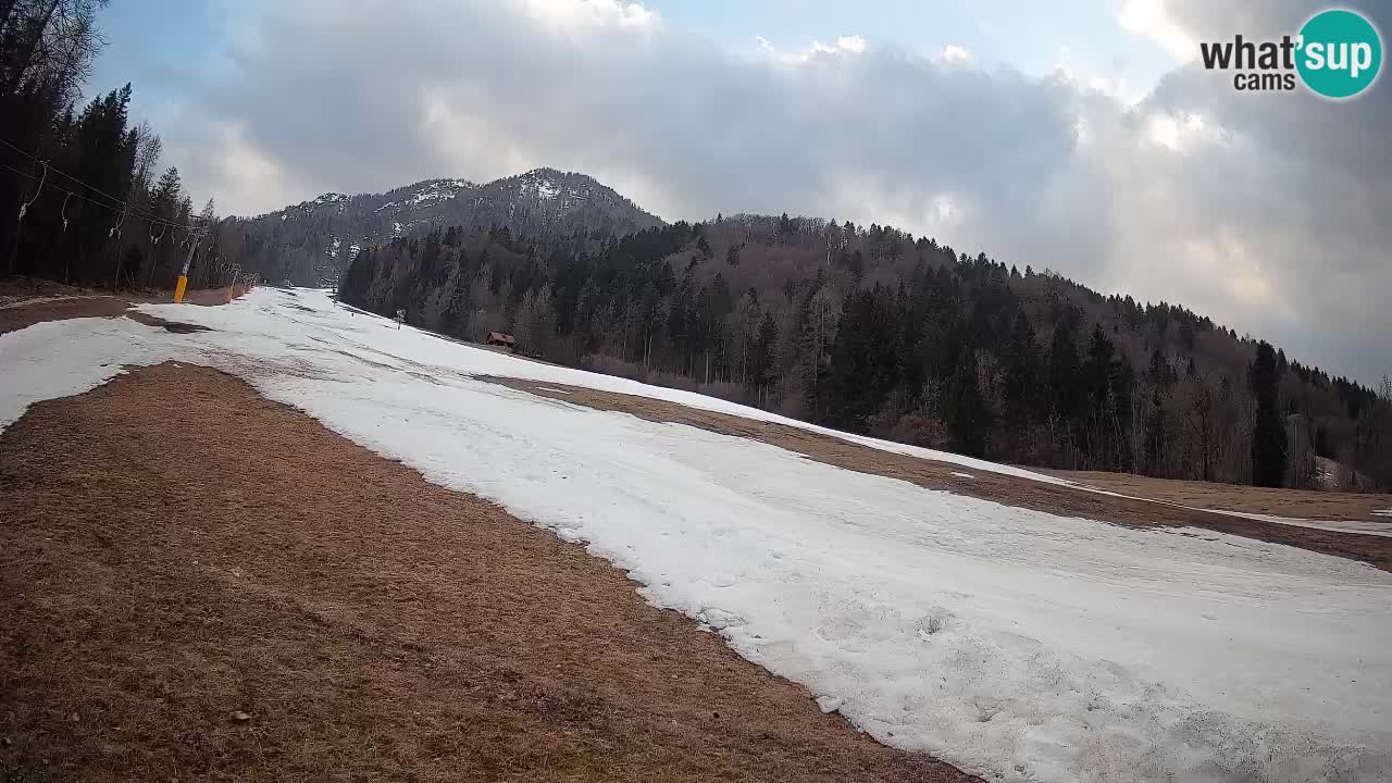 Ski Kranjska Gora | Brsnina