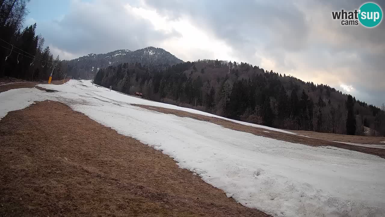 Esquí Kranjska Gora | Brsnina