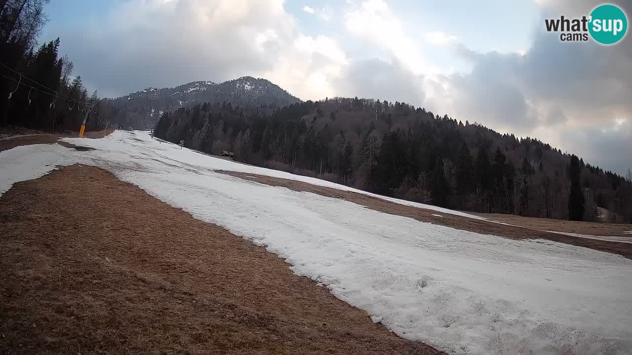 Kranjska Gora Station de ski | Brsnina