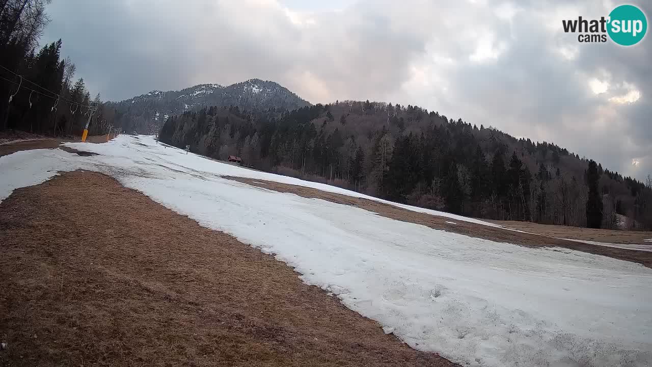 Esquí Kranjska Gora | Brsnina