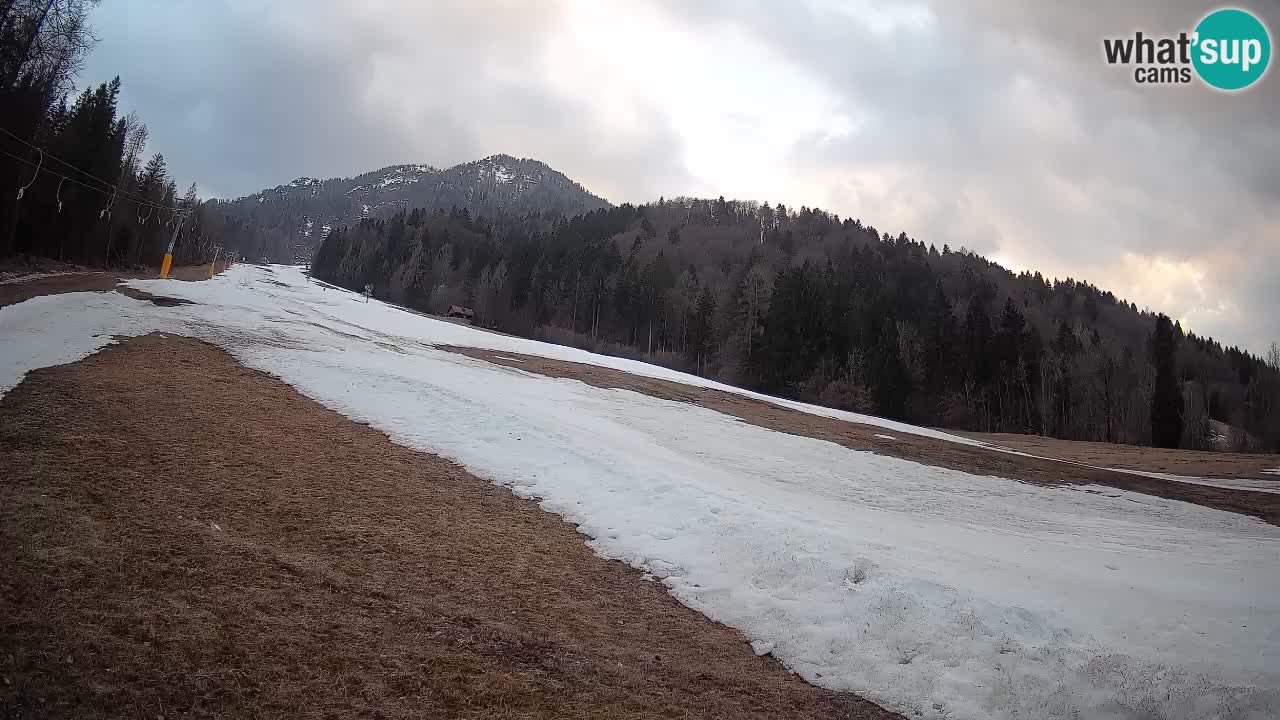 Kranjska Gora SKIJANJE | Brsnina