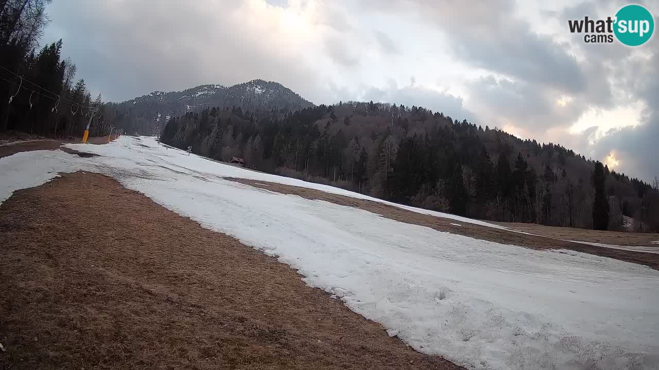 Kranjska Gora Station de ski | Brsnina