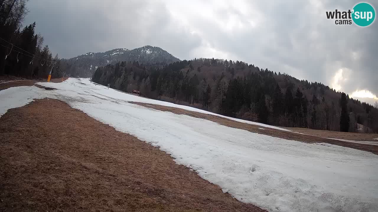 Kranjska Gora SKIJANJE | Brsnina