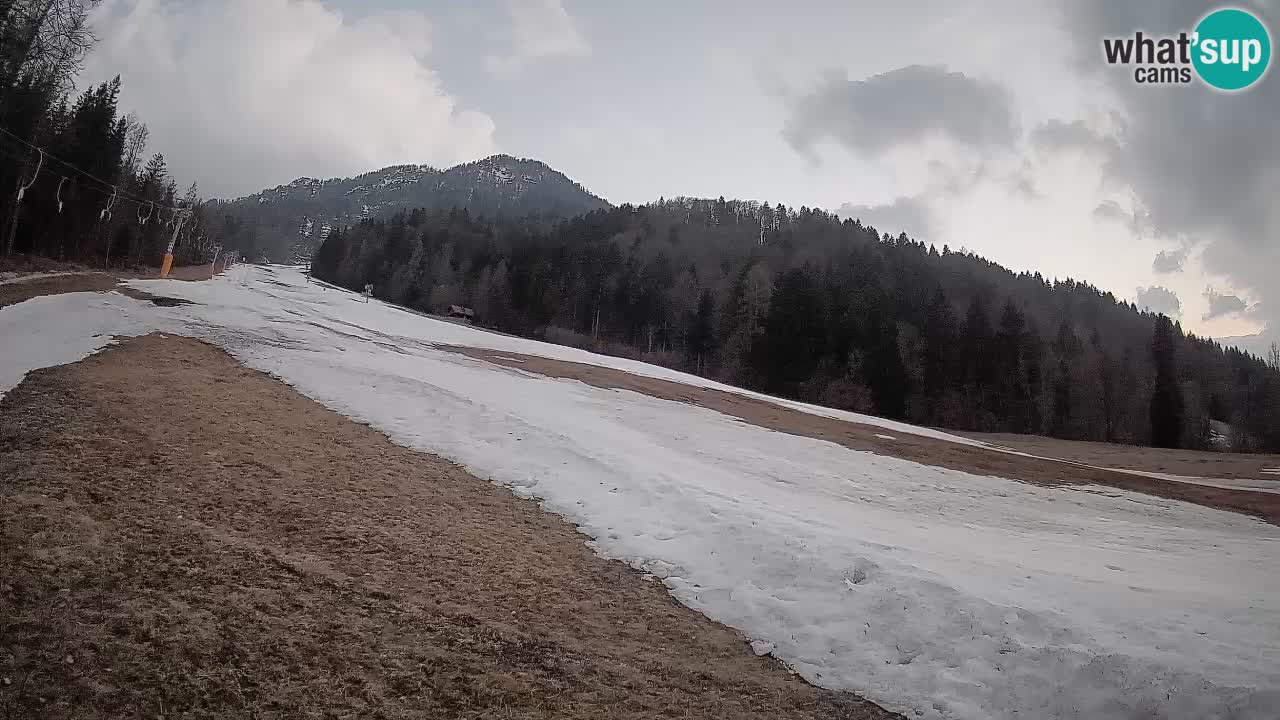 Comprensorio sciistico Kranjska Gora | Brsnina