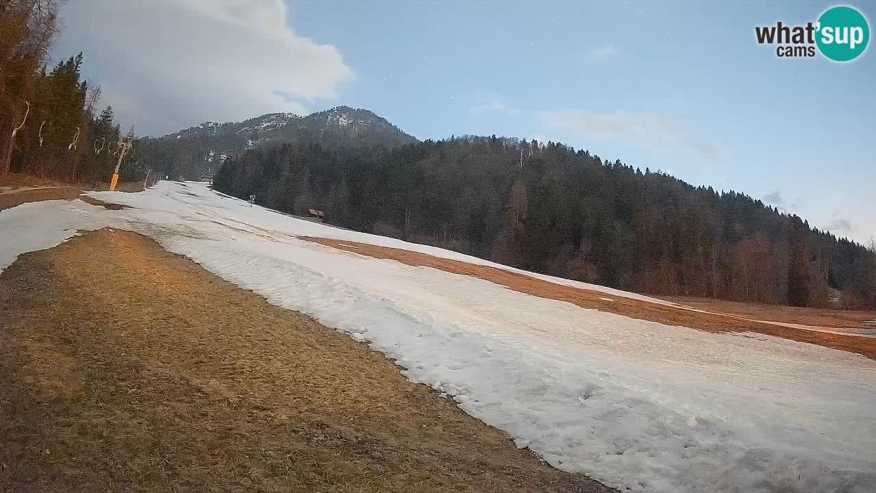 Esquí Kranjska Gora | Brsnina