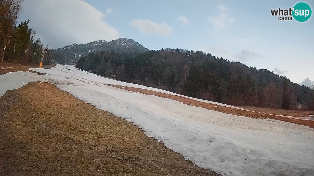 Comprensorio sciistico Kranjska Gora | Brsnina