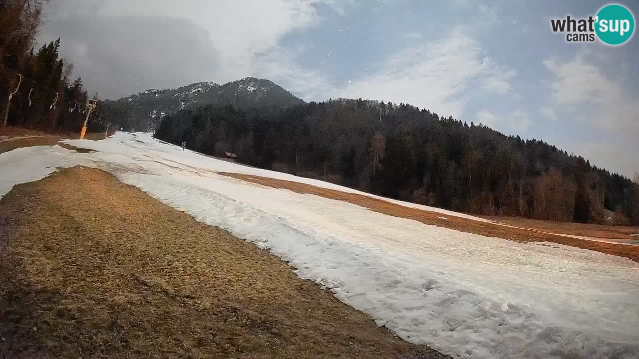 RTC Kranjska Gora | Brsnina
