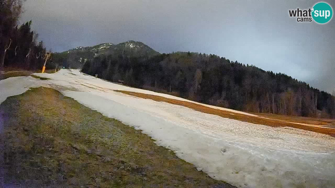 Esquí Kranjska Gora | Brsnina