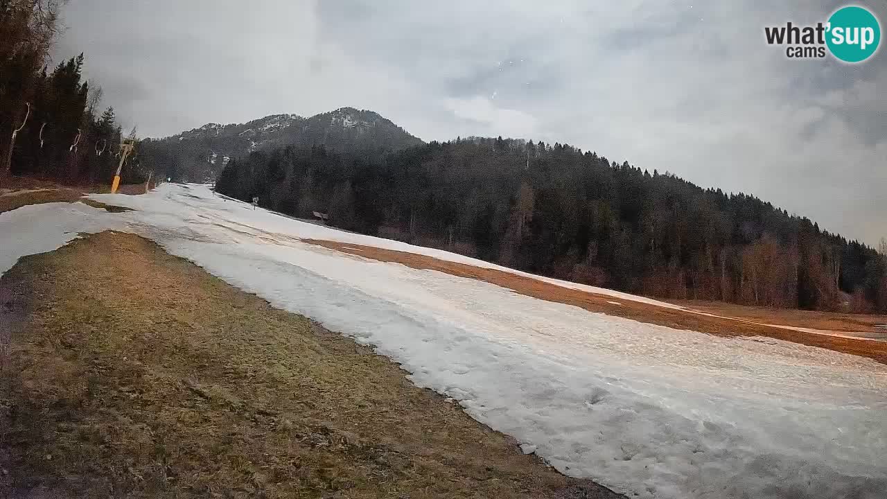 RTC Kranjska Gora | Brsnina