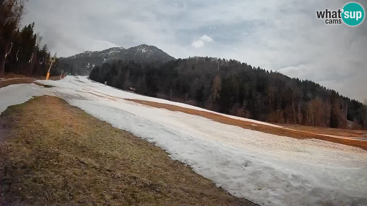 Ski Kranjska Gora | Brsnina
