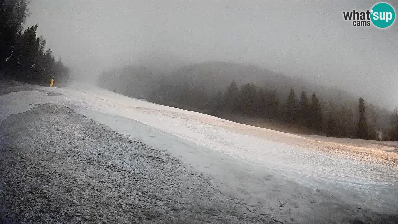 Esquí Kranjska Gora | Brsnina