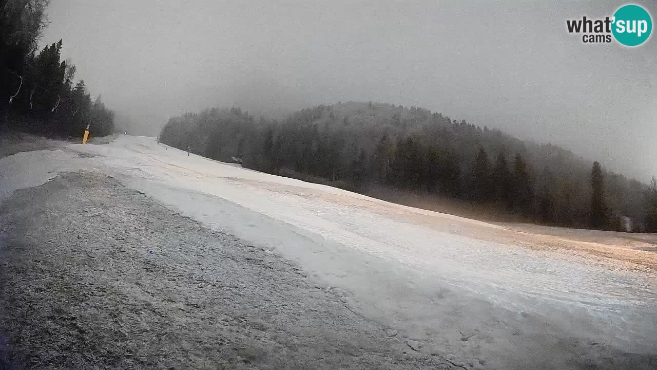 Ski Kranjska Gora | Brsnina