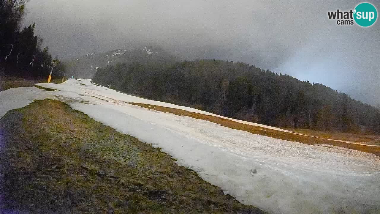 RTC Skigebiet Kranjska Gora | Brsnina