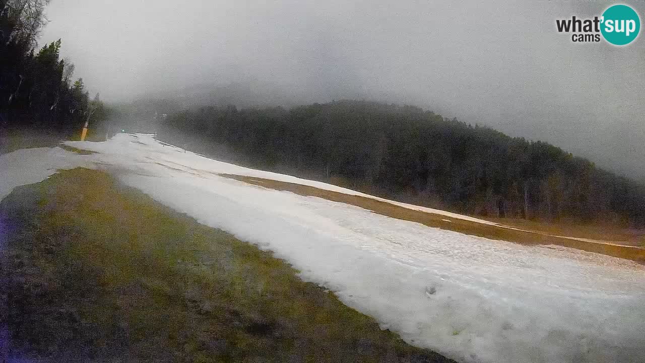 Ski Kranjska Gora | Brsnina