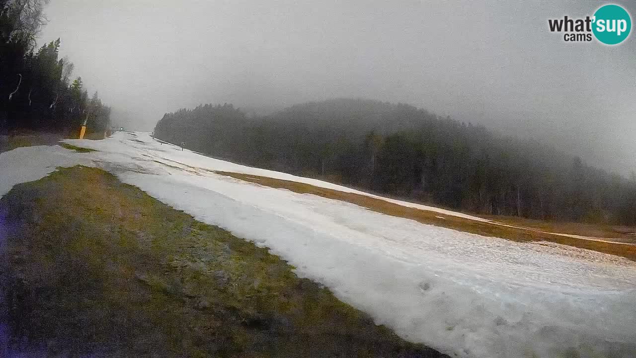 Ski Kranjska Gora | Brsnina