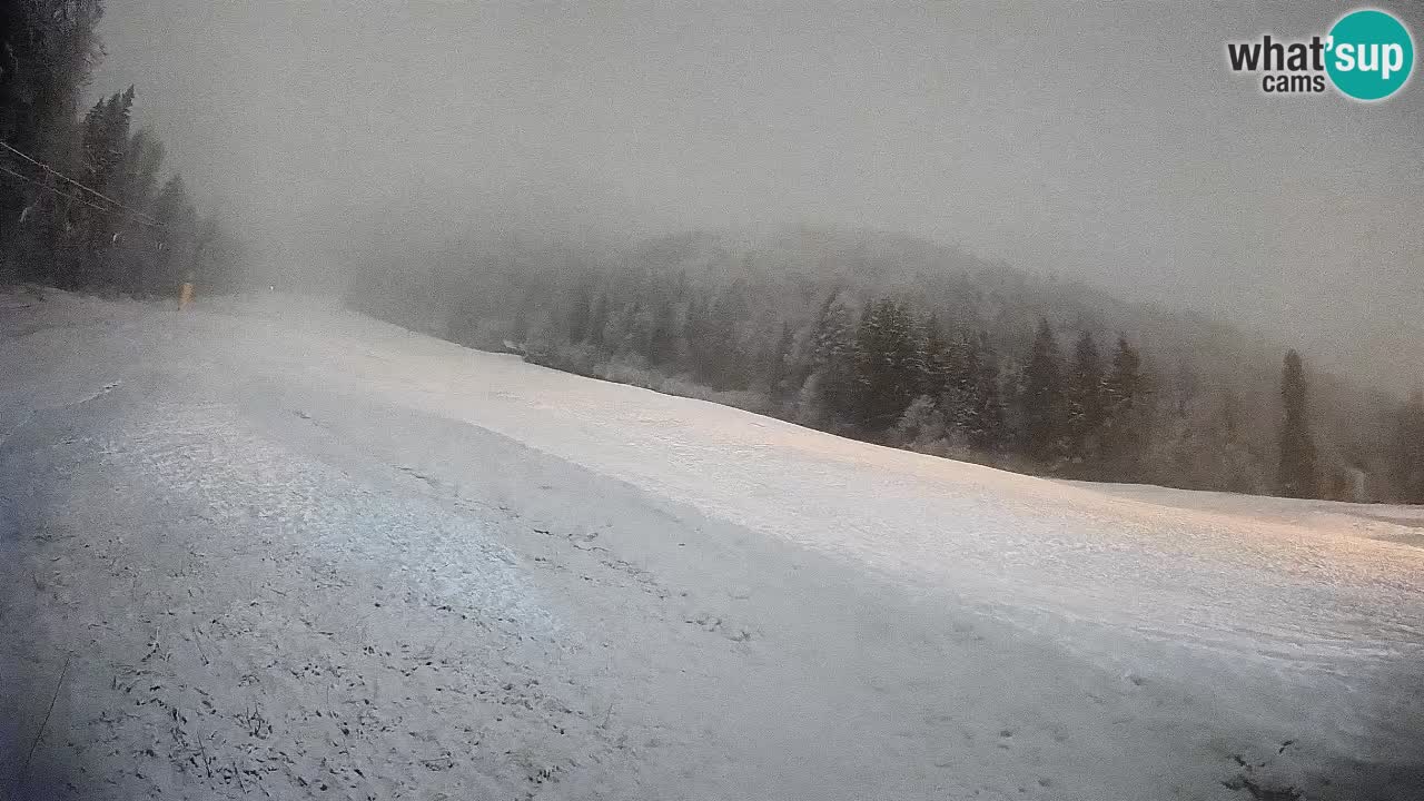 RTC Skigebiet Kranjska Gora | Brsnina