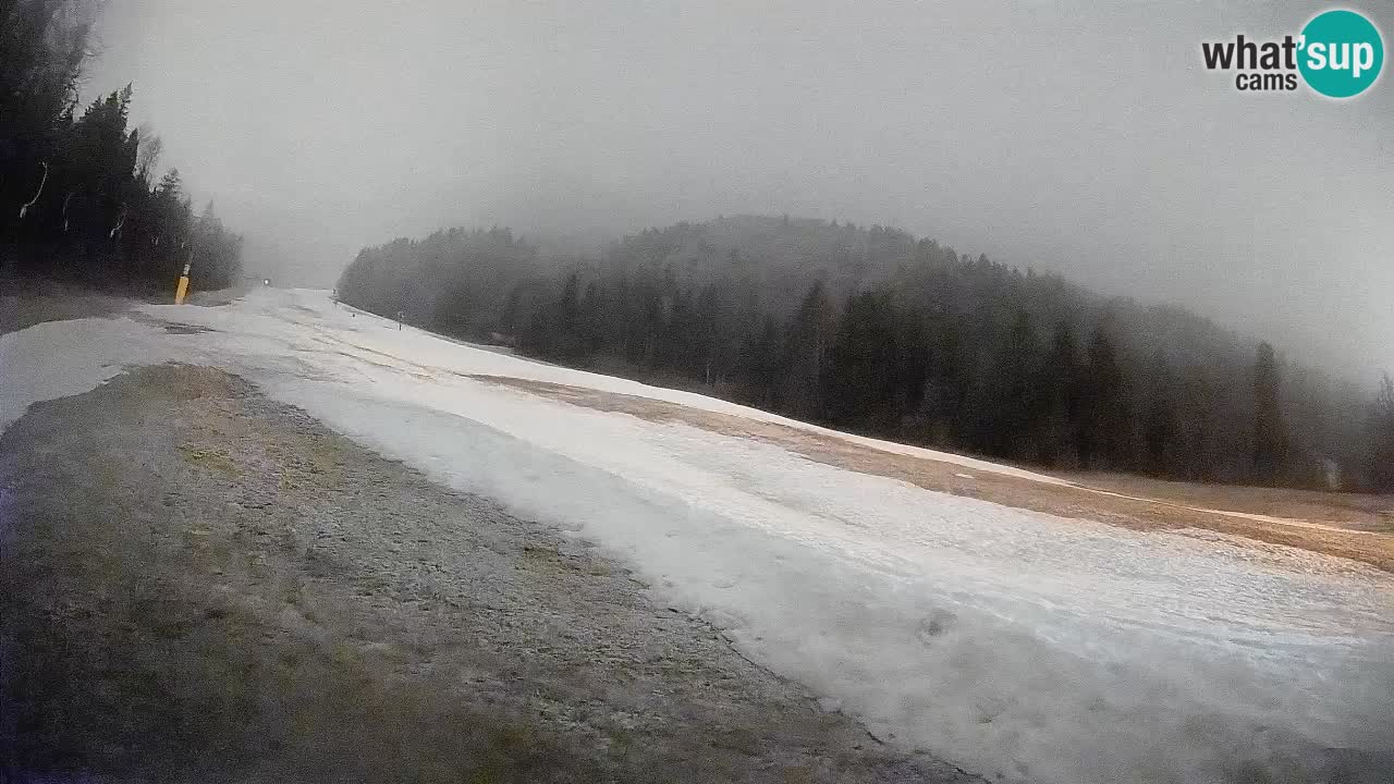 RTC Kranjska Gora | Brsnina