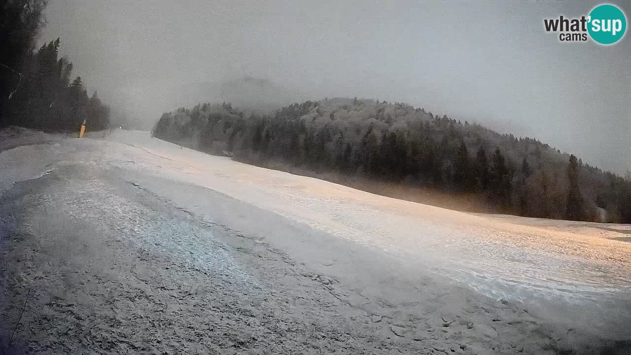 Kranjska Gora Station de ski | Brsnina