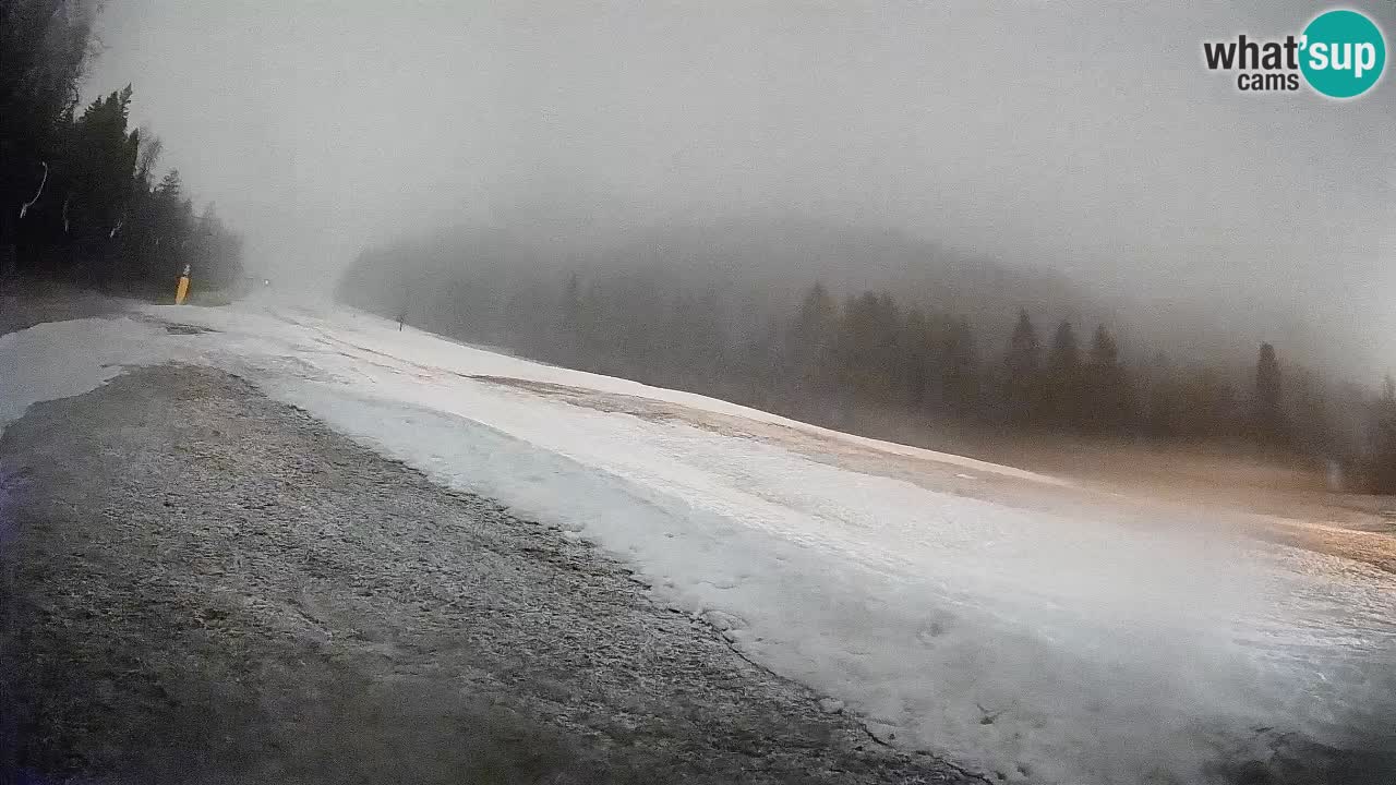 Comprensorio sciistico Kranjska Gora | Brsnina