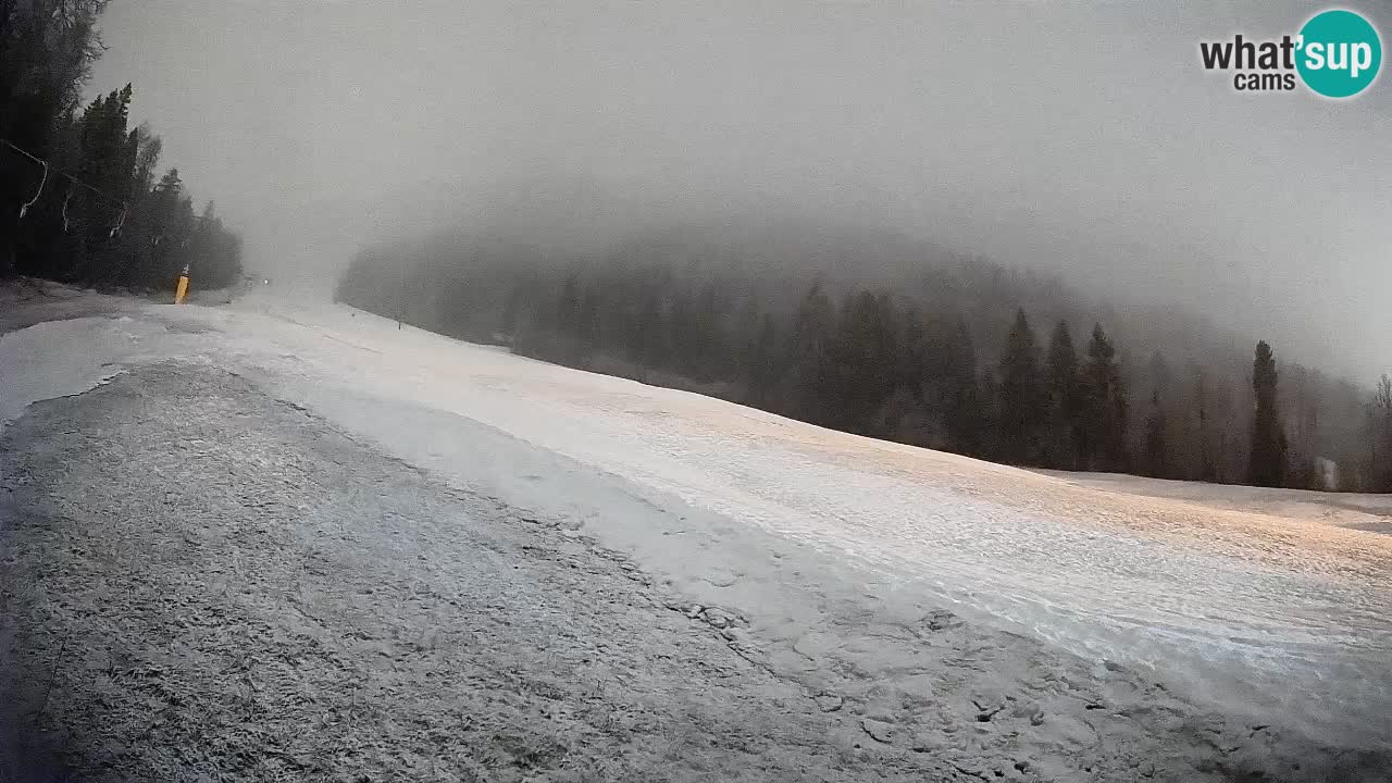 RTC Skigebiet Kranjska Gora | Brsnina