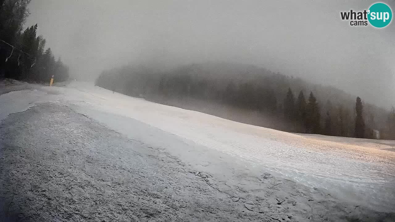 RTC Kranjska Gora | Brsnina