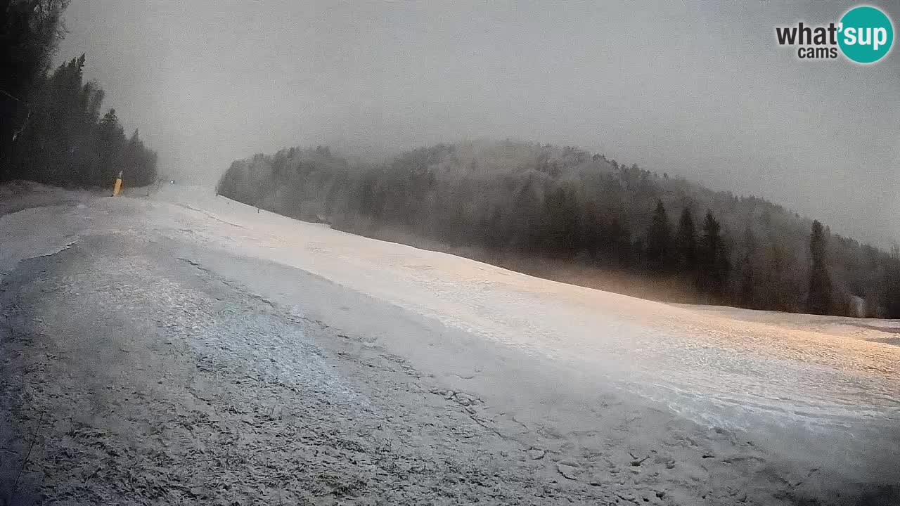 Esquí Kranjska Gora | Brsnina