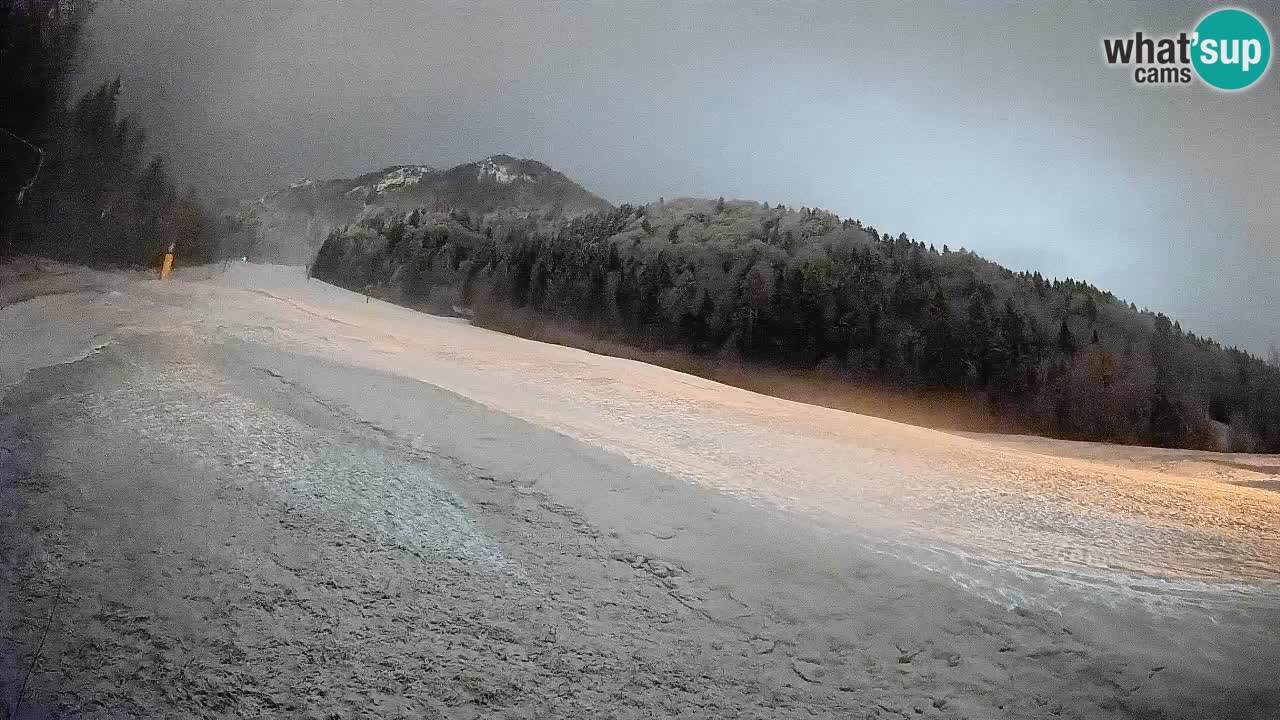 RTC Skigebiet Kranjska Gora | Brsnina