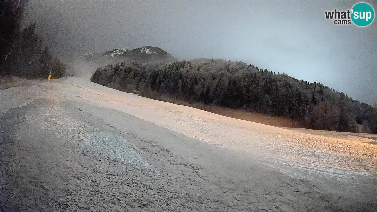 Comprensorio sciistico Kranjska Gora | Brsnina