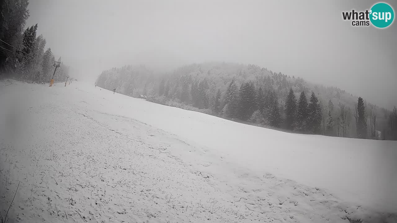 Comprensorio sciistico Kranjska Gora | Brsnina