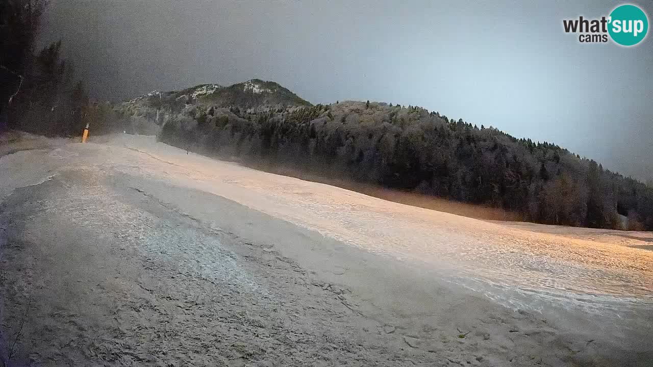 RTC Skigebiet Kranjska Gora | Brsnina