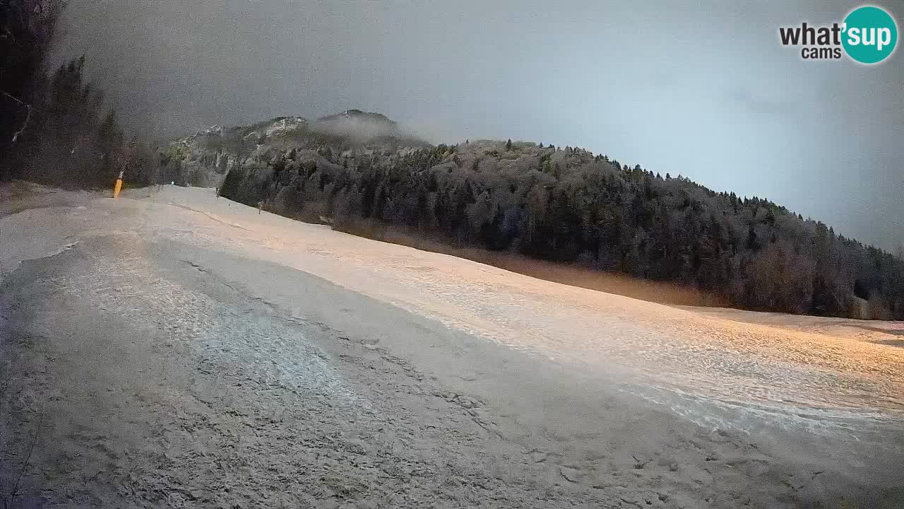 Comprensorio sciistico Kranjska Gora | Brsnina