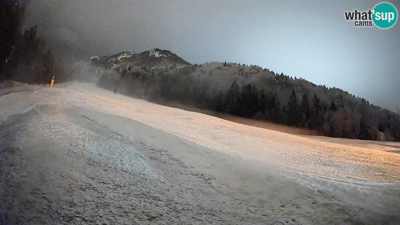 Esquí Kranjska Gora | Brsnina