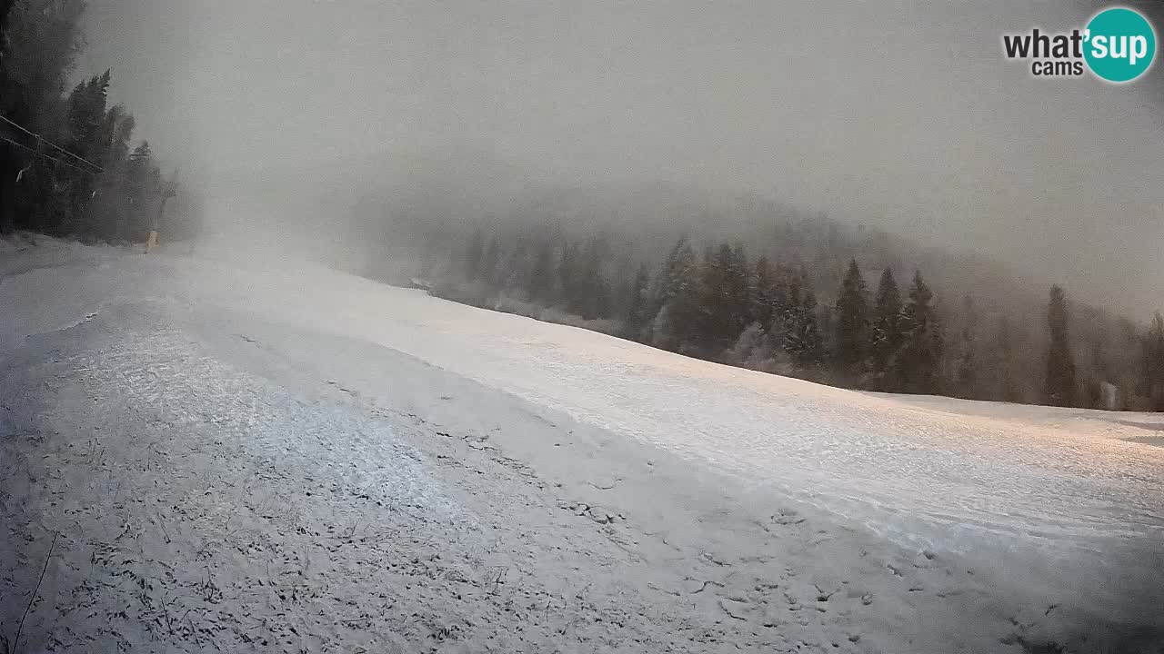 Esquí Kranjska Gora | Brsnina