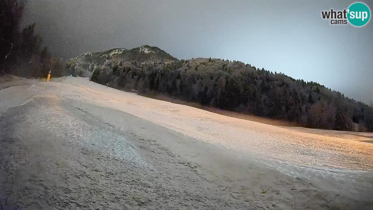 Comprensorio sciistico Kranjska Gora | Brsnina