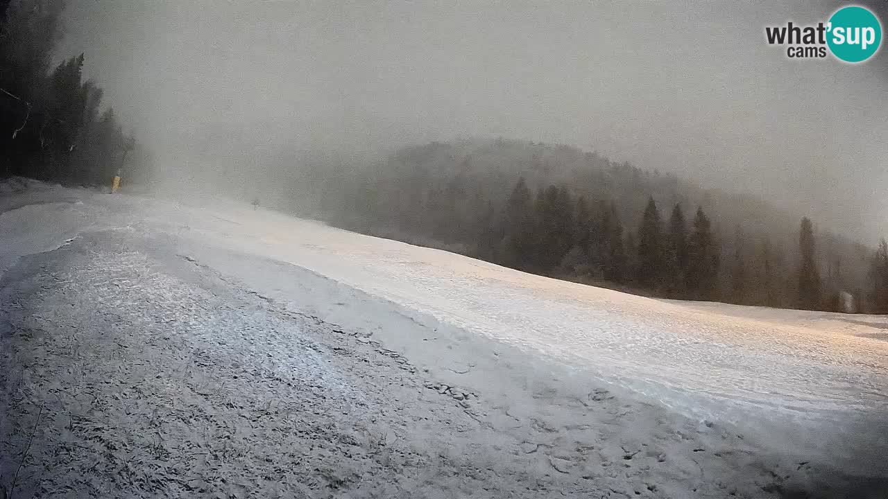 RTC Skigebiet Kranjska Gora | Brsnina