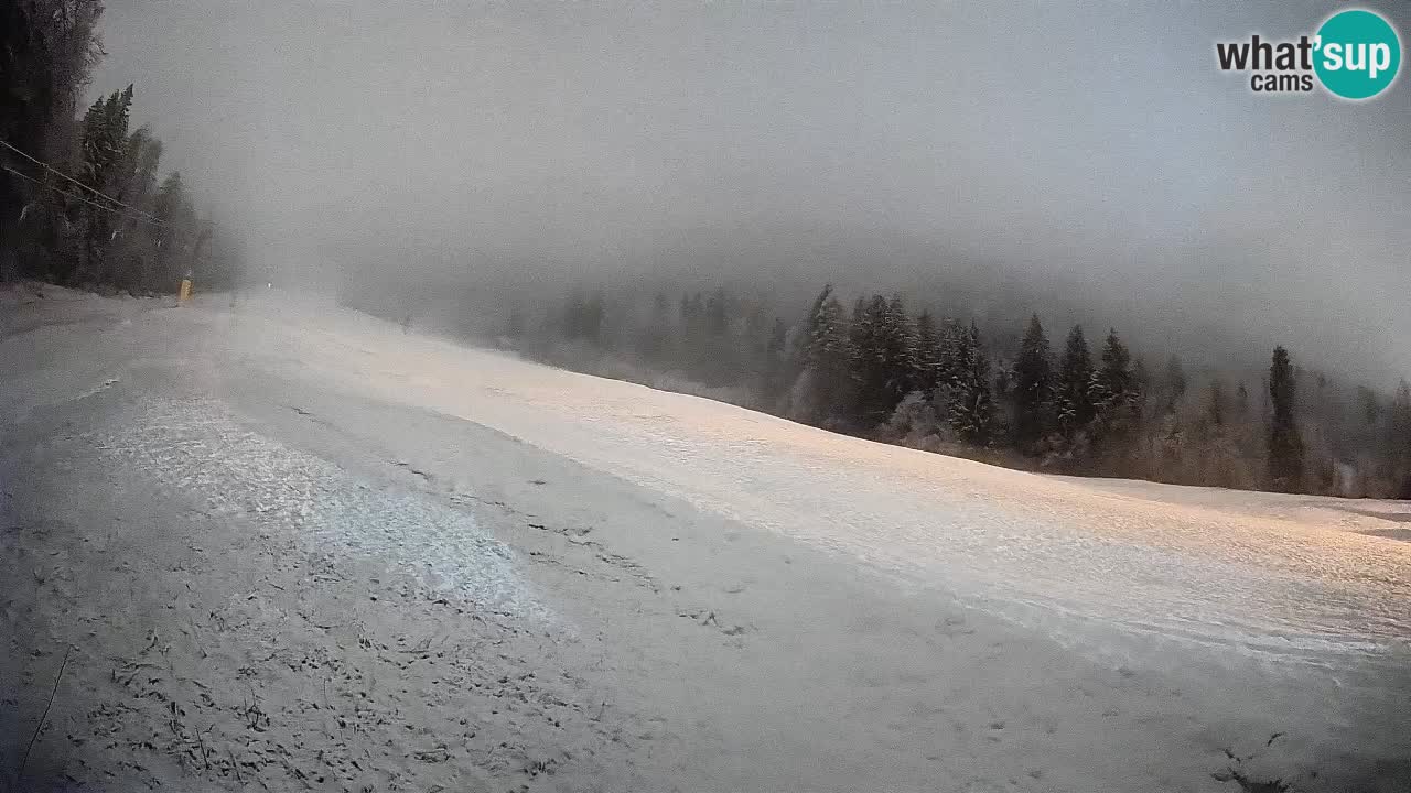 Comprensorio sciistico Kranjska Gora | Brsnina