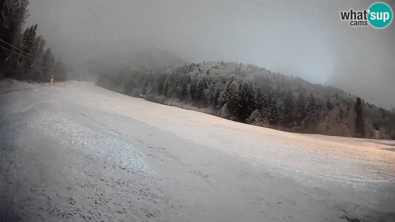 RTC Skigebiet Kranjska Gora | Brsnina