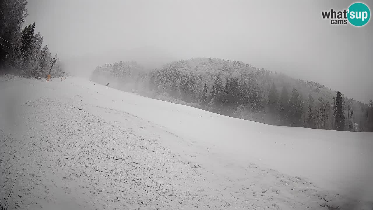 Esquí Kranjska Gora | Brsnina