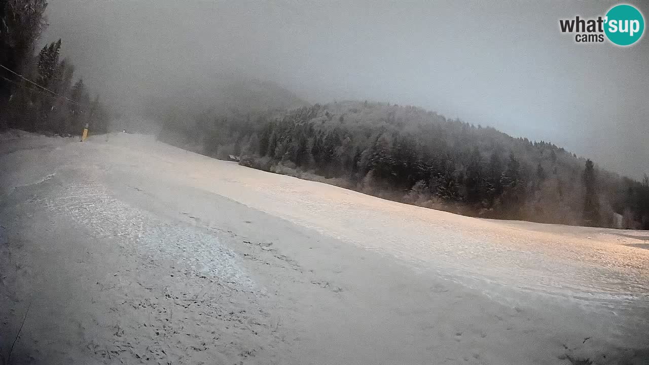 Kranjska Gora SKIJANJE | Brsnina