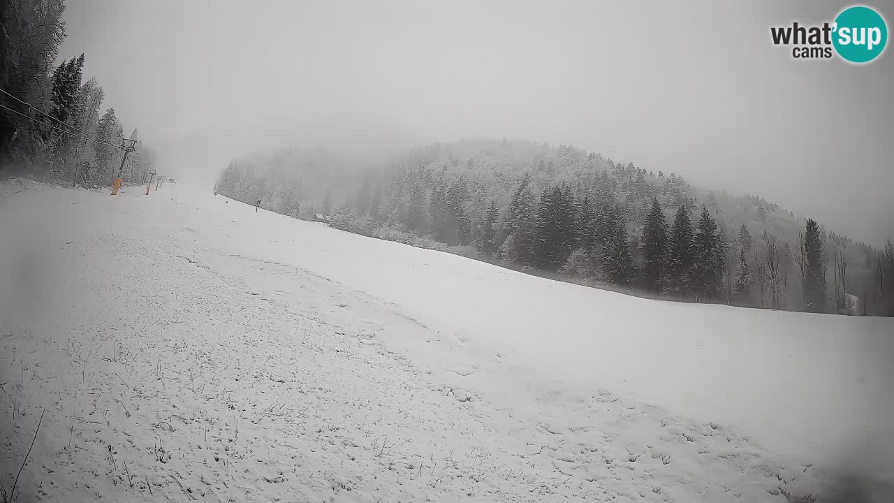 RTC Skigebiet Kranjska Gora | Brsnina