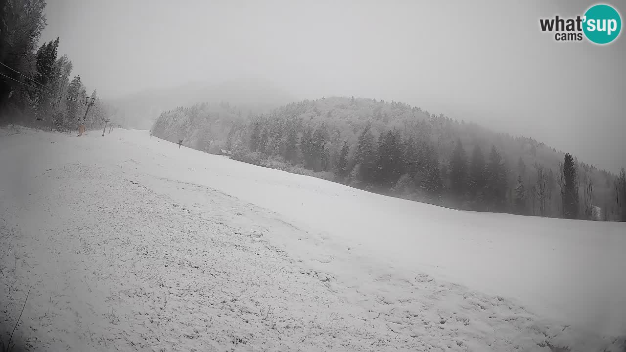 Esquí Kranjska Gora | Brsnina