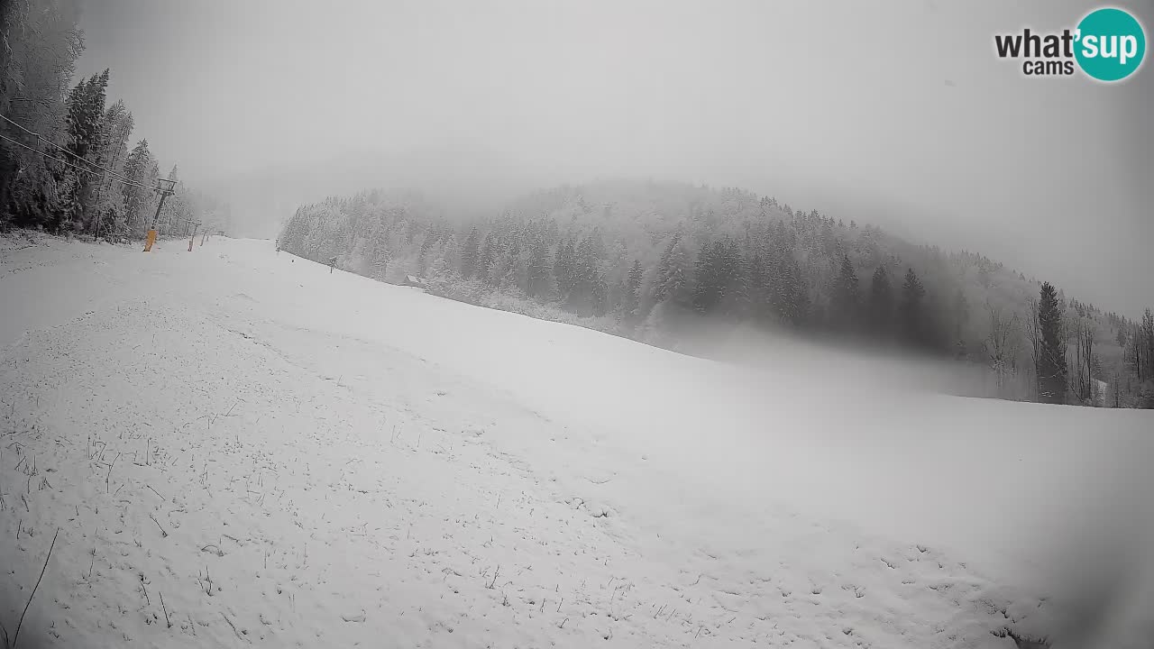 Kranjska Gora SKIJANJE | Brsnina