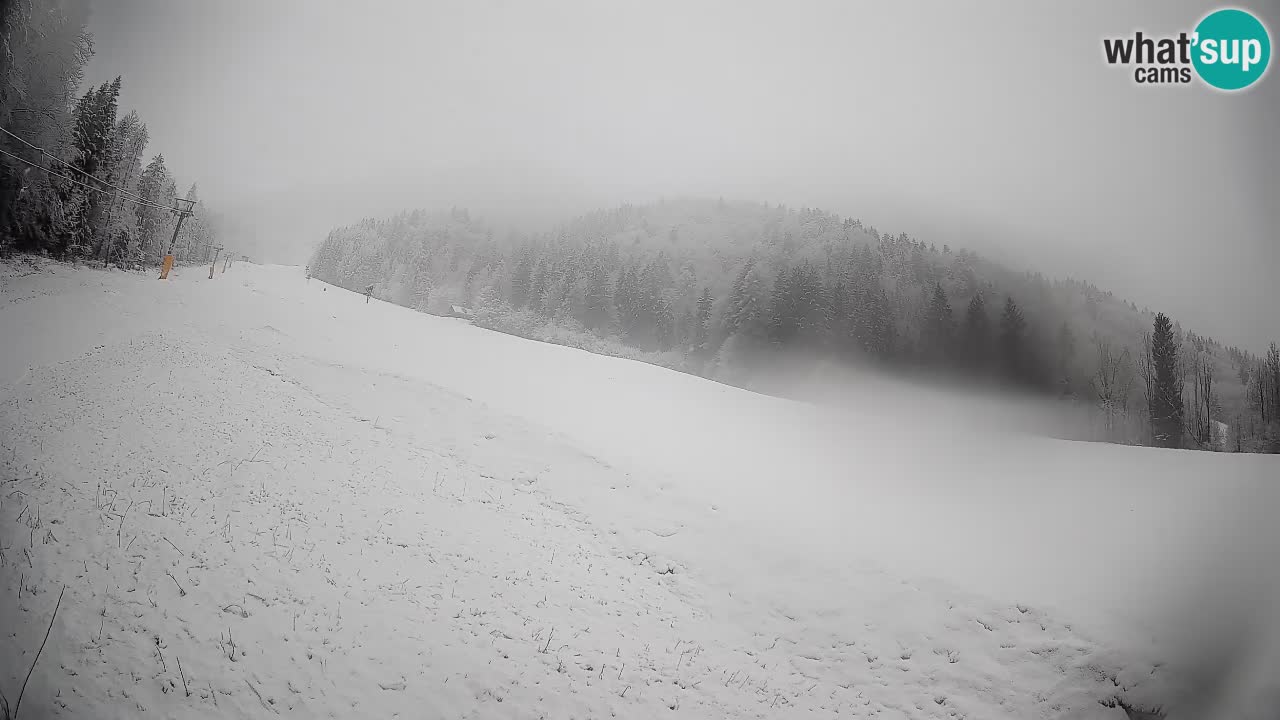 RTC Skigebiet Kranjska Gora | Brsnina