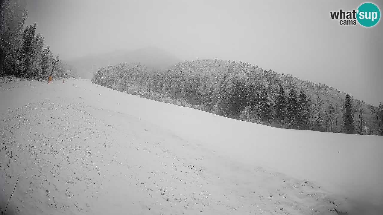 Comprensorio sciistico Kranjska Gora | Brsnina