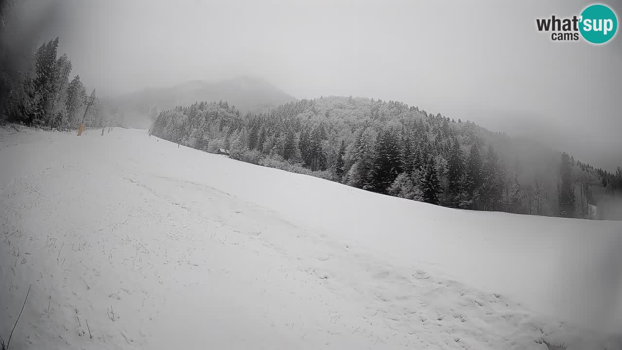 Kranjska Gora Station de ski | Brsnina
