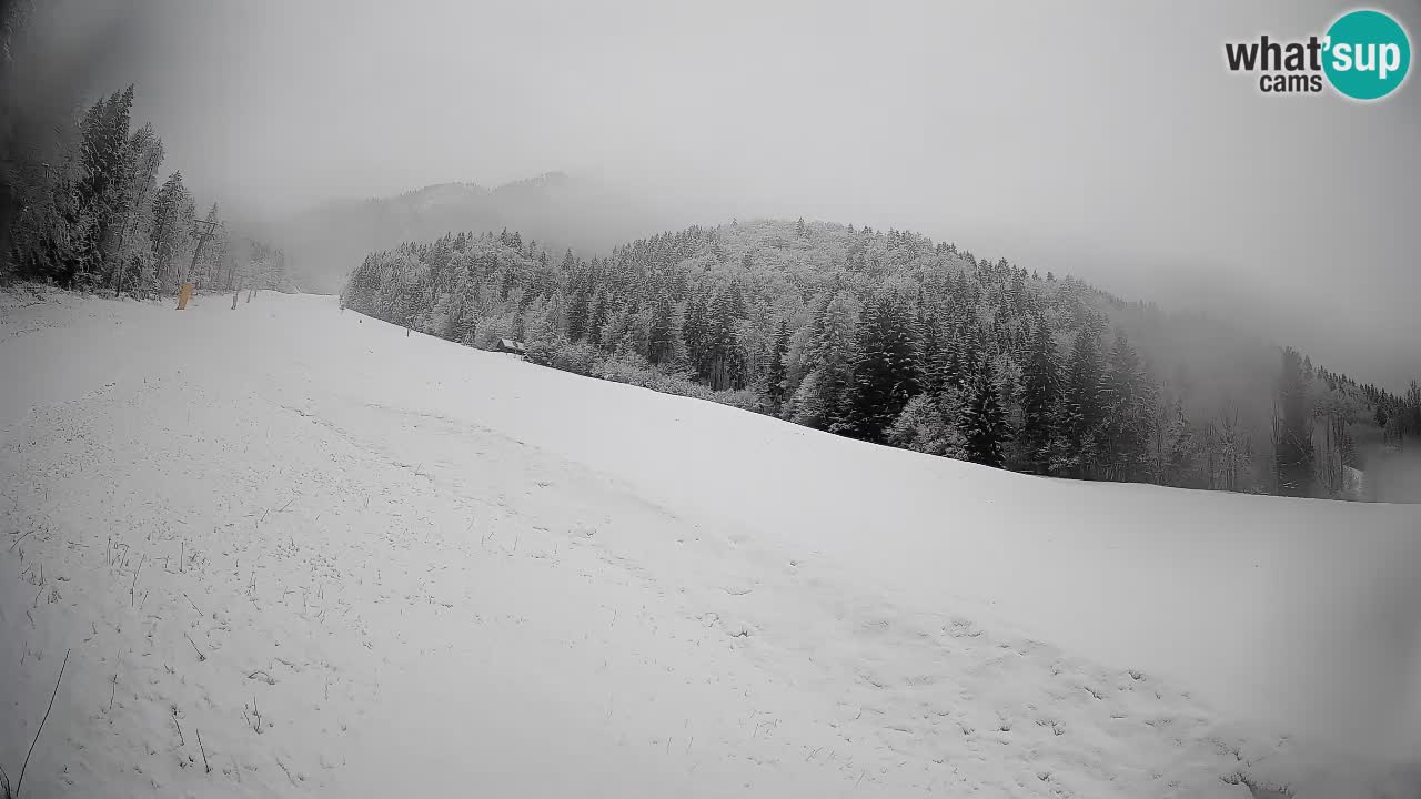 Ski Kranjska Gora | Brsnina