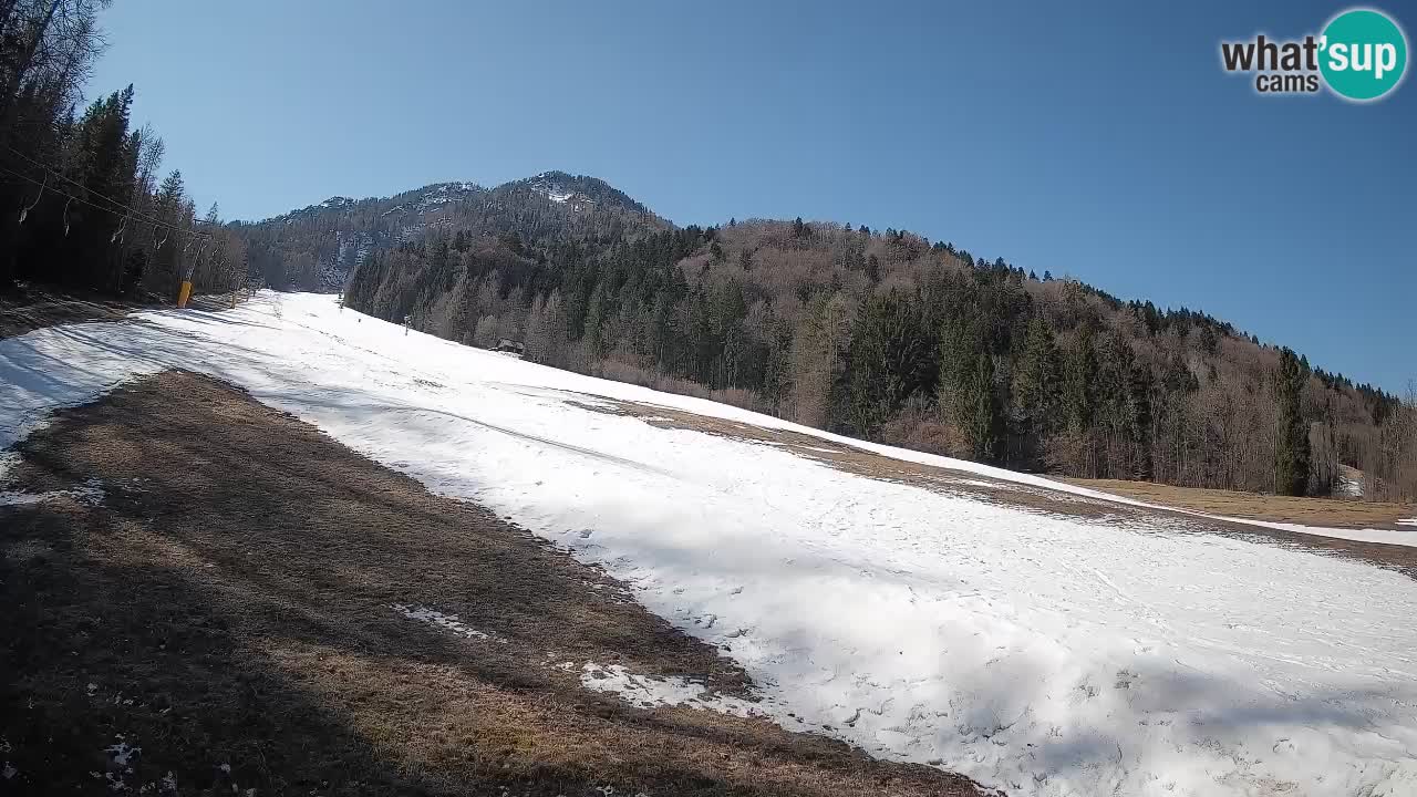 Ski Kranjska Gora | Brsnina