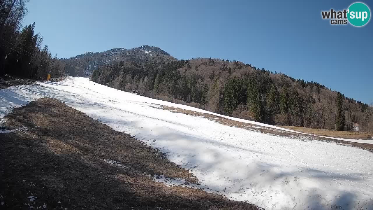 Kranjska Gora SKIJANJE | Brsnina
