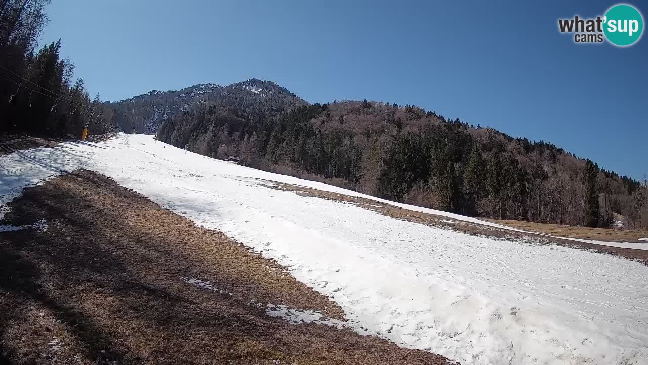 Esquí Kranjska Gora | Brsnina