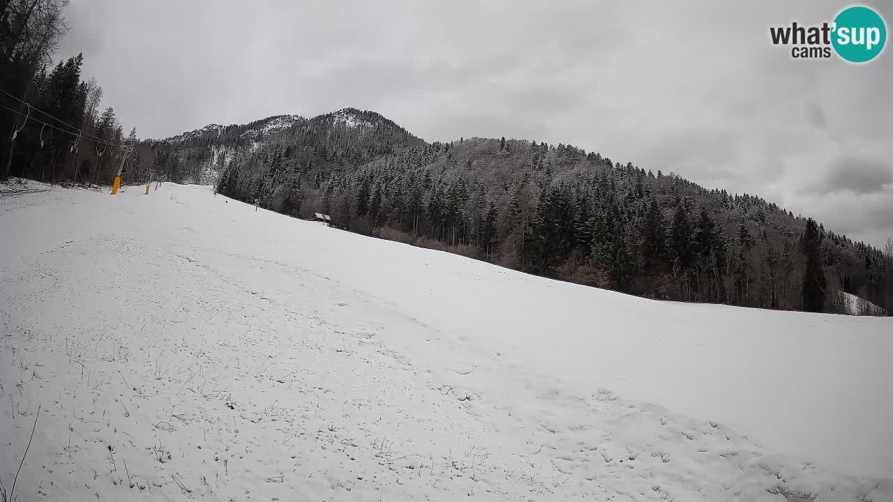 Comprensorio sciistico Kranjska Gora | Brsnina